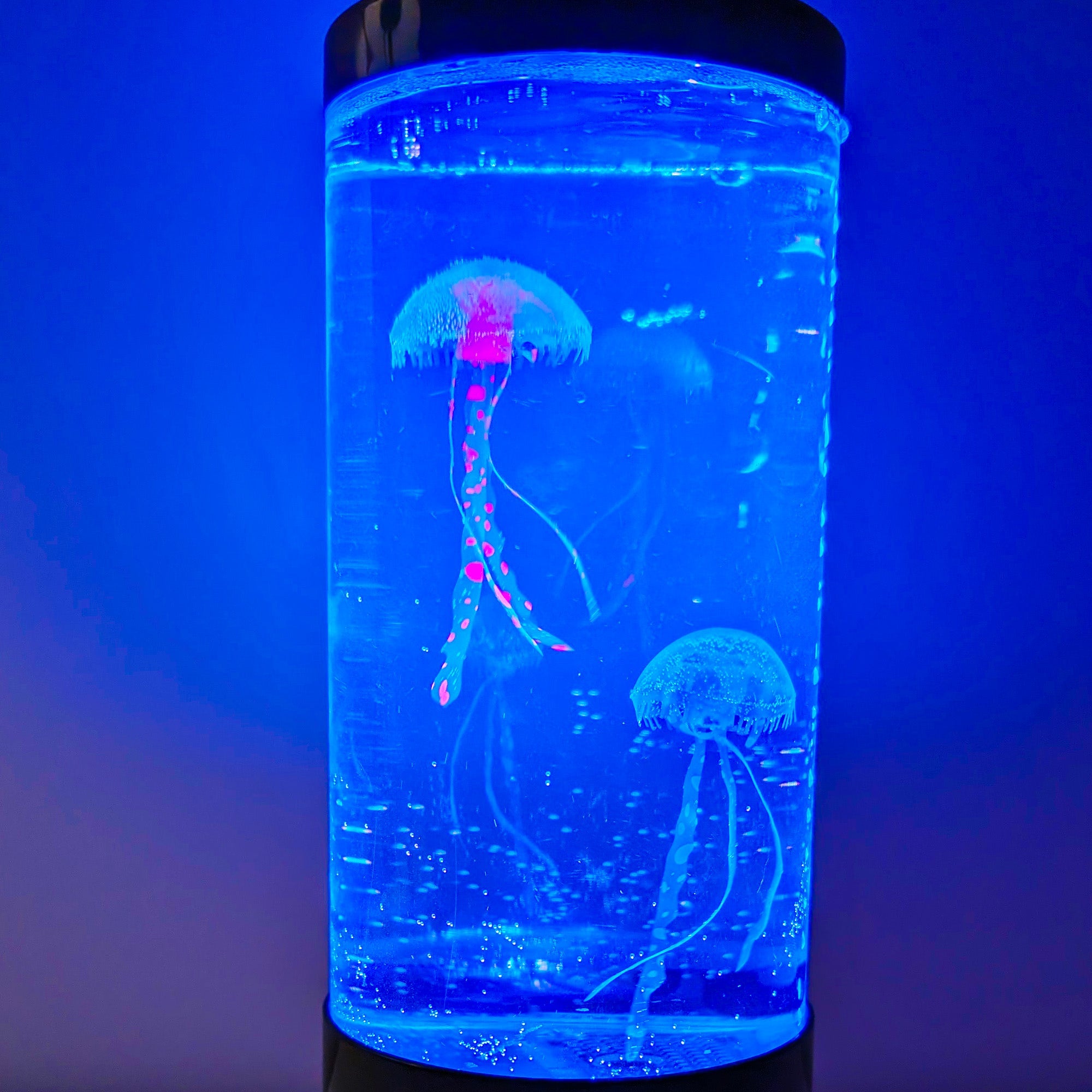 Jellyfish Lamp